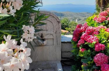 Milies Historic Chalet Pelion - Foto 51