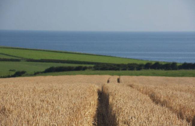 Bayview Farm Holiday Cottages - Foto 17