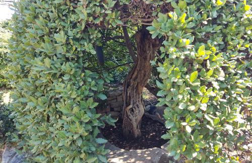 Lito's dream villa by the sea! - Photo 73