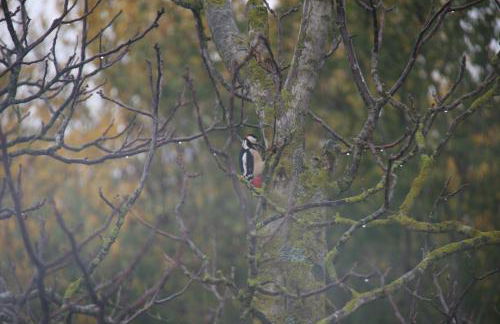 Il Nido di Gabbiano - Foto 16