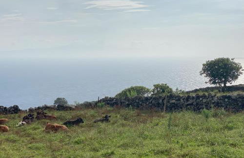 LUZZ me - Casa das Doze Ribeiras - Photo 32