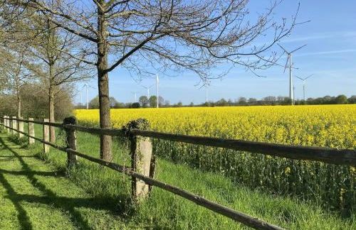 Ferienhäuser Weitblick - Photo 24