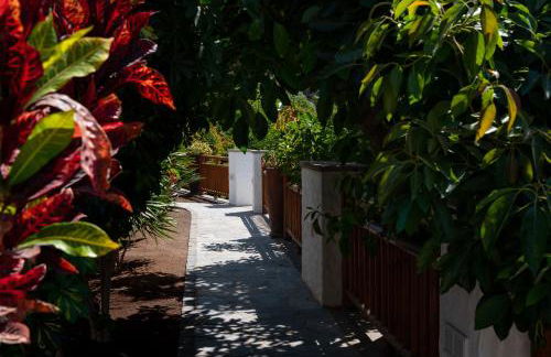 Finca el Moral - Foto 9