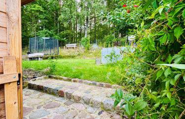 LakeView DomekNaKaszubach - Foto 27