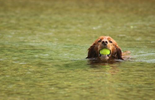 L'école d'autrefois - Foto 14