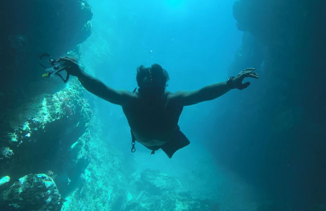 Villa de La Madrague – Presqu’île de Giens - Foto 79