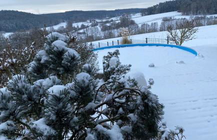 Heim Lisse - Foto 32