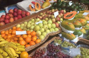 Charming Apartments in Funchal - São Gonçalo - Foto 17