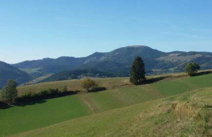 Ferienwohnung Heimatliebe - Foto 20