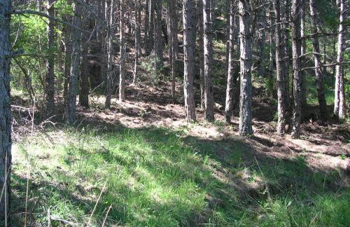 La casa de la Luz - Foto 35