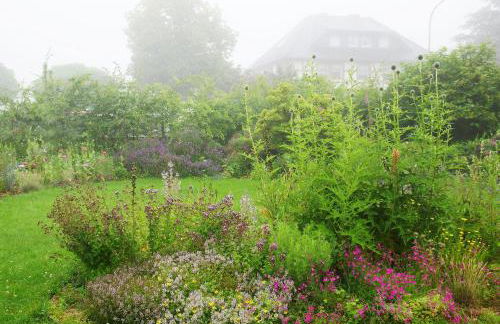 Haus mit Garten (neben National Park Eifel) - Foto 12
