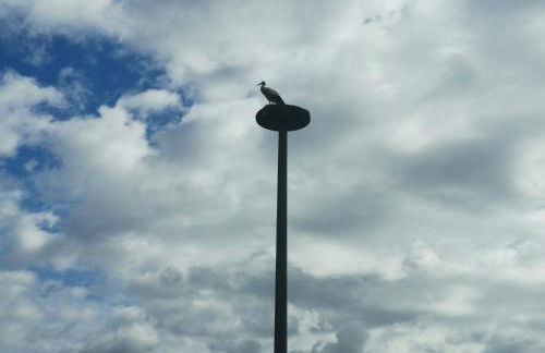 Ferienidyll zur Spreeaue - Foto 64