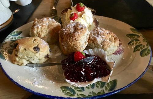 Holiday home, Camelford, Cornwall - Foto 20