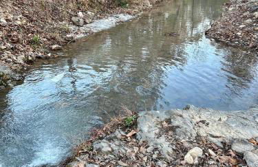 Livin on the Edge Cabin in Albert Pike, Beautiful! - Foto 28