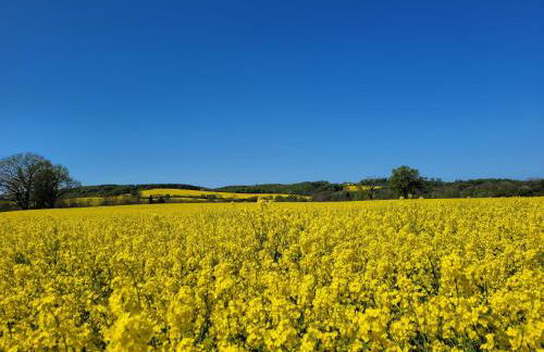 Heimathafen Hohwacht - Foto 26