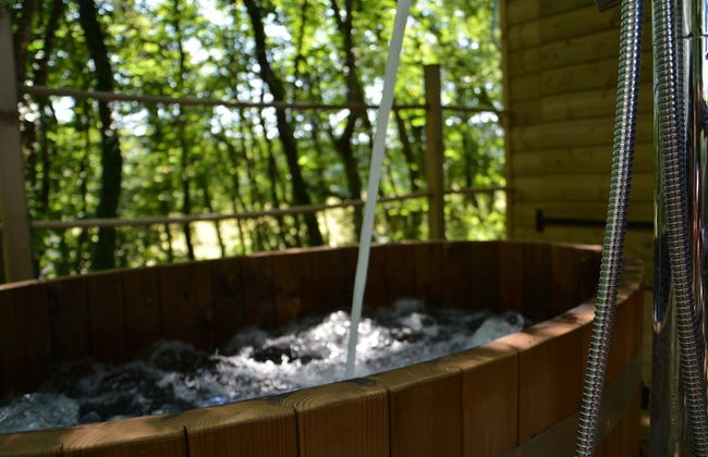 Cabanes de la Romaningue - Foto 21