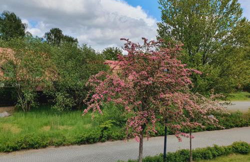 Ferienhaus Hase - Foto 21