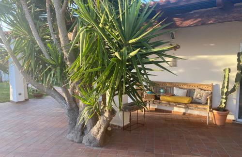 Dimorra Sun and Relax - Photo 32