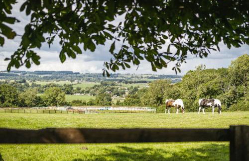 Sun Hill Farmhouse - Photo 46