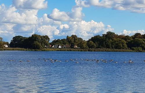 Hausboot-schwimmendes-Ferienhaus-im-Havelbogen-Haus-auf-dem-Wasser - Foto 13