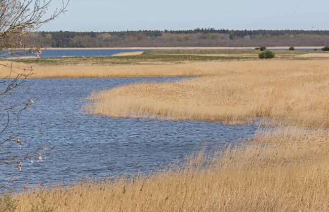 Apartment in Gingst With Sea Beach - Foto 40