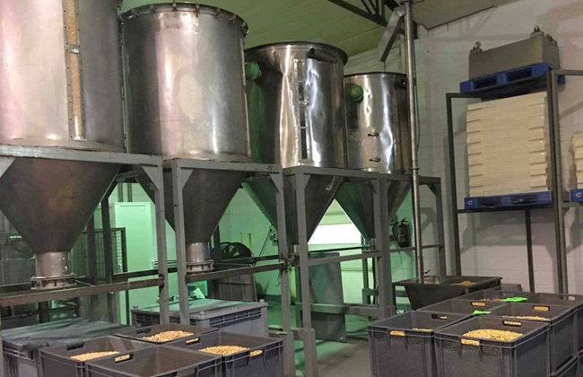 Visita a la fábrica de turrones El Artesano - Foto 6