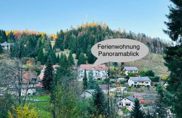 Ferienwohnung Panoramablick - super für deine Familie und die besten Aussicht in ganz Todtmoos - Foto 41
