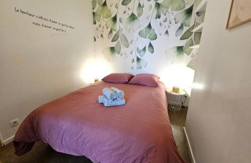 T2 Ctre ville Fibre proche Beauval - Photo 9