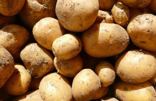 Natur-Aktiv-Hof Thiem - Foto 70