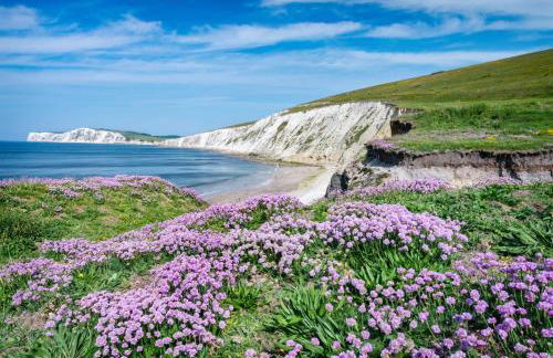 Spacious 3 beds home Close to Southampton GENERAL HOSPITAL - sleep 9 - Free Parking - Pool table - 2 Large TVs - Foto 71