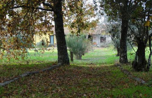 Casa das Palmeiras - Pedagogic Farm - Foto 86