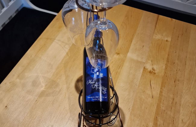 Vineyard cottage Vinska grajska kašča - Foto 28