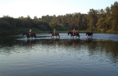 Świerkowe Rancho - Foto 11