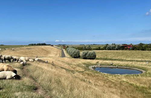 Beach Home - Photo 58