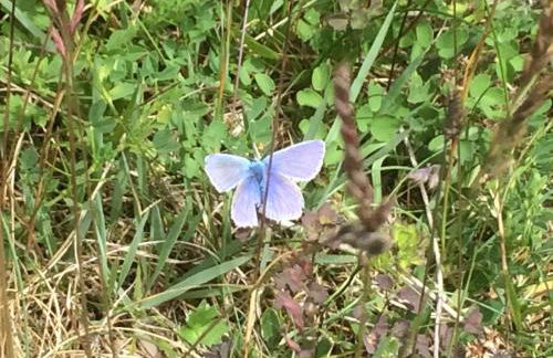 Ferienwohnung auf Rügen mit Boddenblick - Foto 65