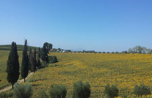 Rustic Charm, Modern Comfort - Foto 27