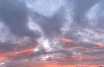 Ferienwohnung auf Pferdehof bei Neustadt - Foto 19