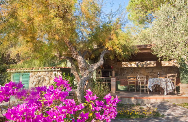 Piccola Oasi 8 - Foto 20