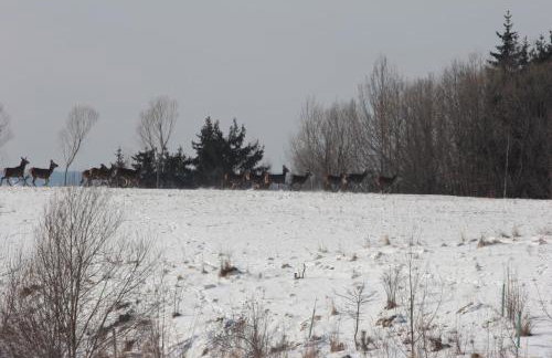 Mazury Garbate - Dom I przy Cisowym Jarze - Foto 63
