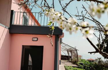 Madeira Island Rustic Mountain Home - Foto 32