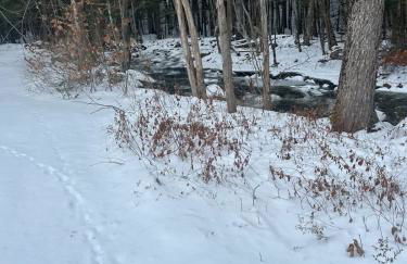 Twin pines 3 - Foto 33