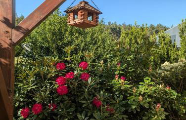 Pension zum Reiterhof, Fewo 2 - Foto 13