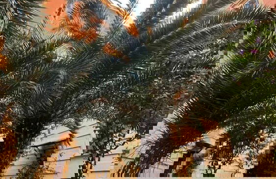 Z-ArchSuites Urbs - Photo 75