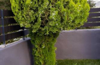 Triantos Guesthome Suite - Photo 32