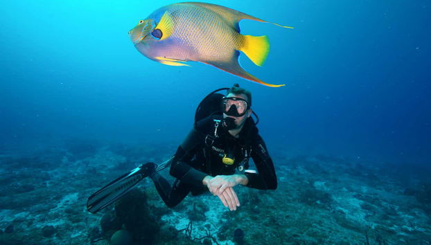 Plongée à côté d'une épave à Puerto Morelos