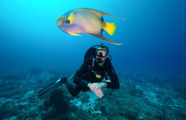 Plongée à Puerto Morelos - Photo 2