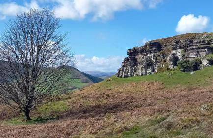 1 Bed in Builth Wells oc-p27441 - Foto 14