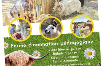 Le Gîte Vert - Foto 13