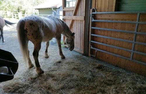 Wild Life Ranch - Foto 25