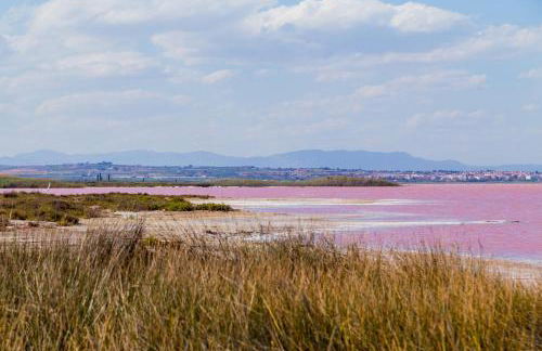 Caruso ID81 - Foto 25